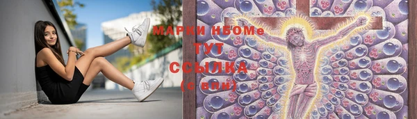 ПСИЛОЦИБИНОВЫЕ ГРИБЫ Ладушкин