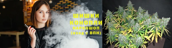 ПСИЛОЦИБИНОВЫЕ ГРИБЫ Ладушкин