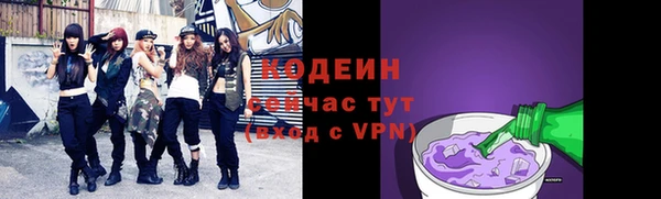 индика Воткинск