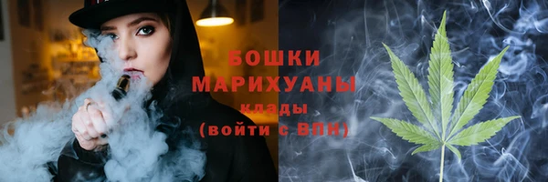 ПСИЛОЦИБИНОВЫЕ ГРИБЫ Ладушкин