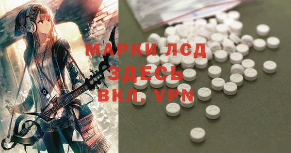 ПСИЛОЦИБИНОВЫЕ ГРИБЫ Ладушкин
