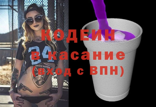 индика Воткинск
