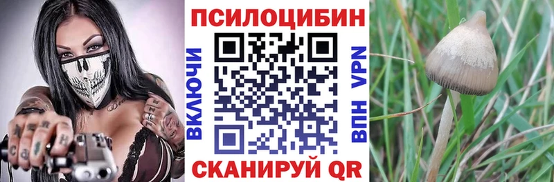 Галлюциногенные грибы Magic Shrooms  Олёкминск 